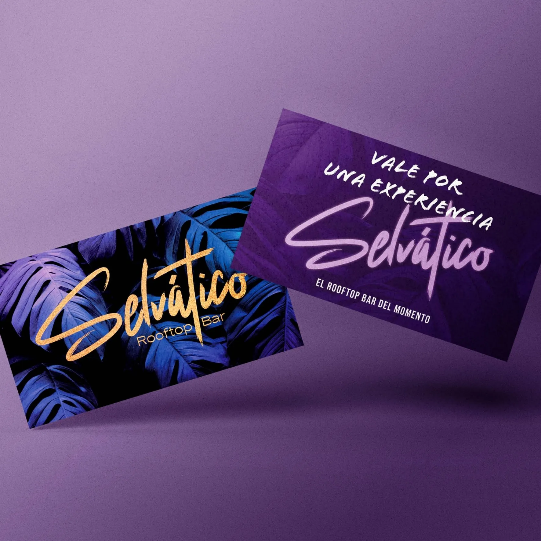 Selvático Rooftop Bar, Benidorm - Image 4