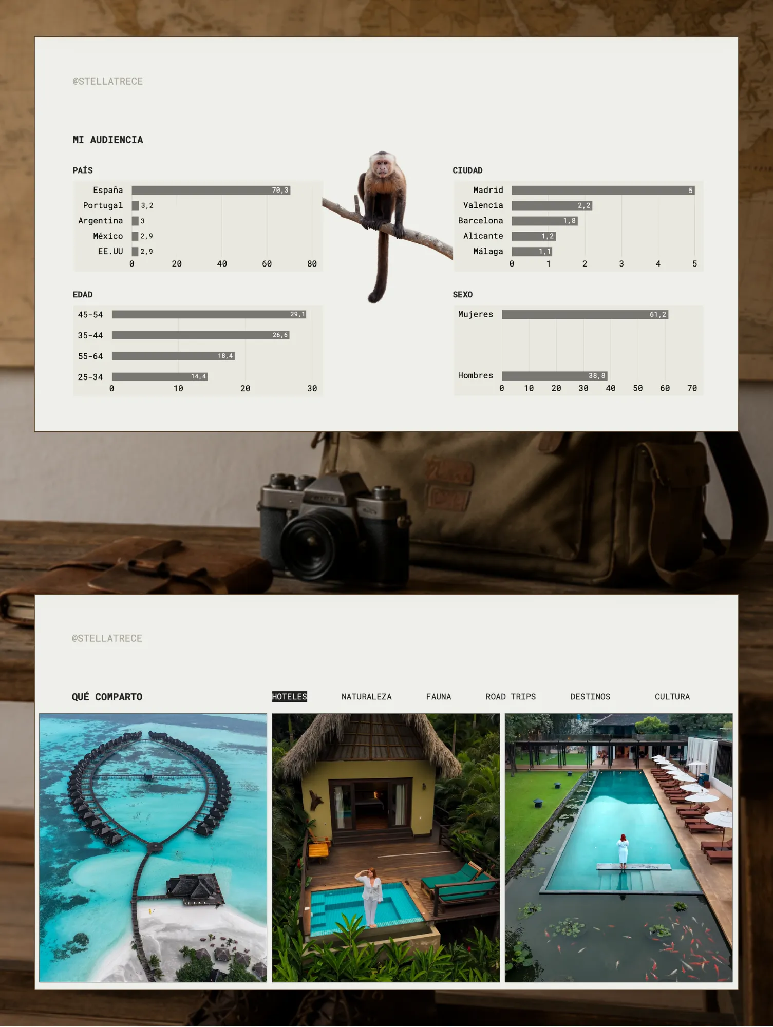 Stellatrece Media Kit - Image 4
